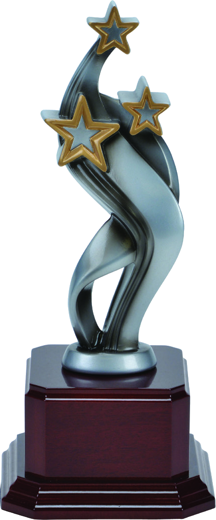 Starry Night Award on Rosewood Base personalized recognition award